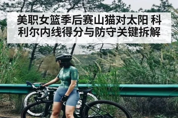 美职女篮季后赛山猫对太阳 科利尔内线得分与防守关键拆解